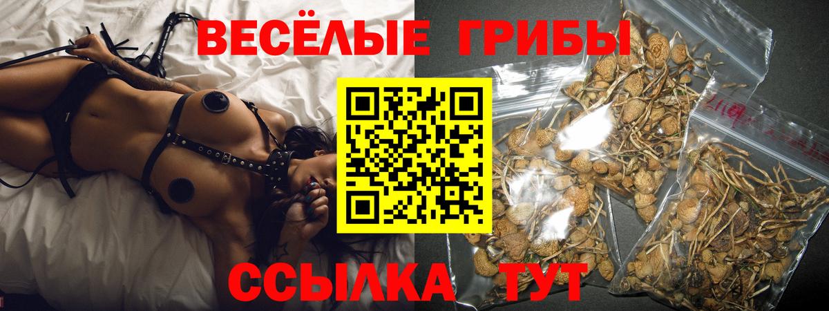 Псилоцибиновые грибы MAGIC MUSHROOMS Нурлат