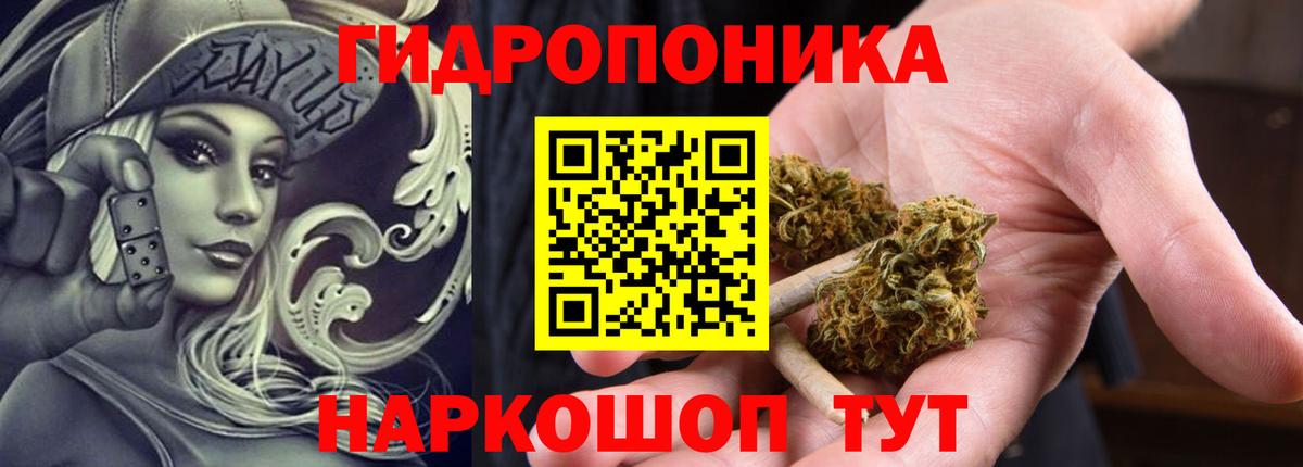 Бошки Шишки Bruce Banner  Канабис план  Нурлат  Марихуана Amnesia  Марихуана Amnesia  Вход с VPN 